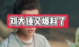 刘大锤最新爆料原版视频,原版视频背后的惊人真相